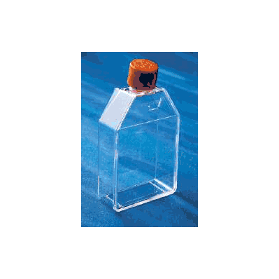 Culture Flask Corning Cell Culture Polystyre