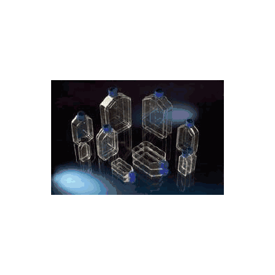 Culture Flask Nunclon Nunc Cell Culture Pol