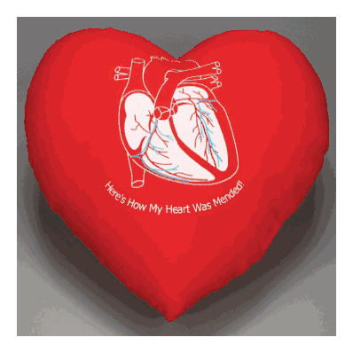 Cushion Cardiac, Heart Diagram Printed on Pillow