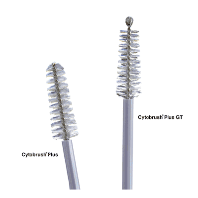 Cytology Brush, 196 mm, Gentle Touch Tip