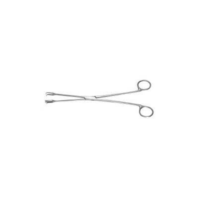 D'Assumpcao Abdominal Flap Marker 254 L X 9 W