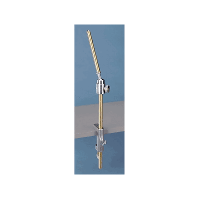Dental Manikin Bench Mount by Nasco SB23467U