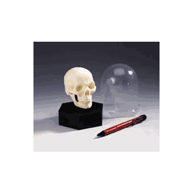 Desktop Mini-Skull