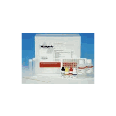 Diagnostic Test Kit Immunoassay Method 96 Tes