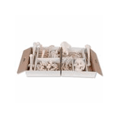 Disarticulated Half Human Skeleton, loosely articulated hand/foot