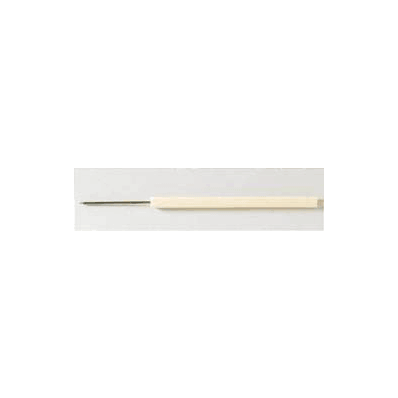 Dissecting Teasing Needle Dissecting And Samp