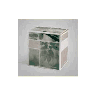 Drainage Kit, Pleurx W/Btl 1000ml (4/Cs) - -