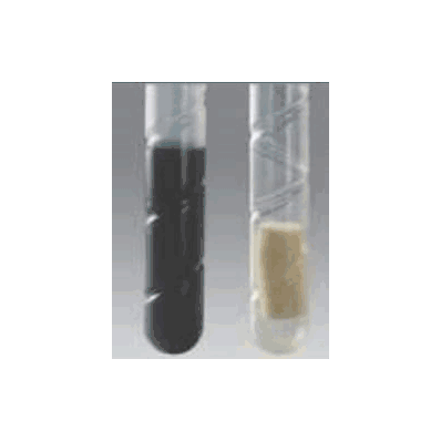 Dual Transport Swab Bactiswab - Swab, Male/F
