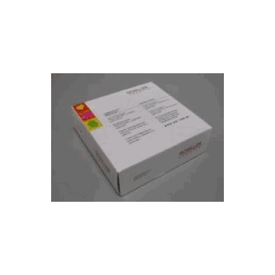 Ecg Recording Paper Thermo Sensitive - Paper,