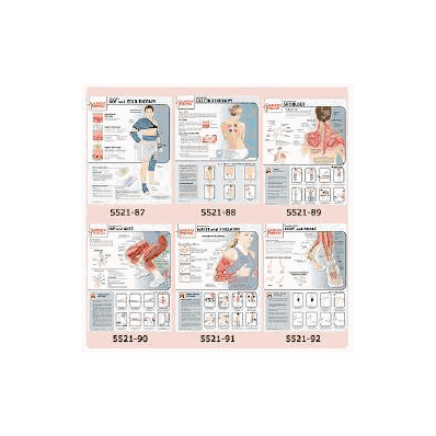 Educational Poster Strengthening The Hip And