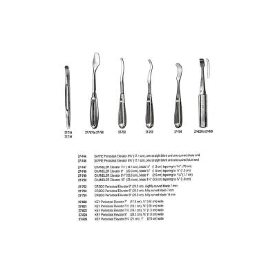 Elevator Bone Chandler 10 Inch L Tapered Blad