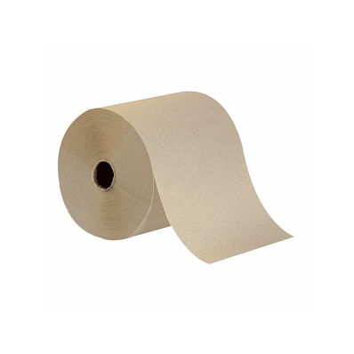 Envision Hardwound Roll Paper Towels - Towel,