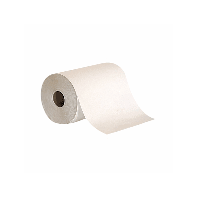 Envision Hardwound Roll Paper Towels - Towel,