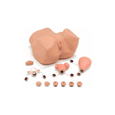 Eva Gynecological Training Mannequin Female -