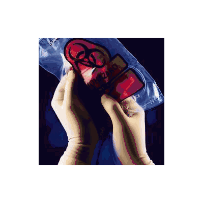 Exam Glove E.P. Glove Nonsterile Powder Free