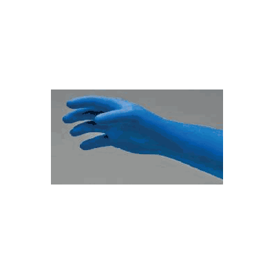 Exam Glove Ep Blue Nonsterile Powder Free La