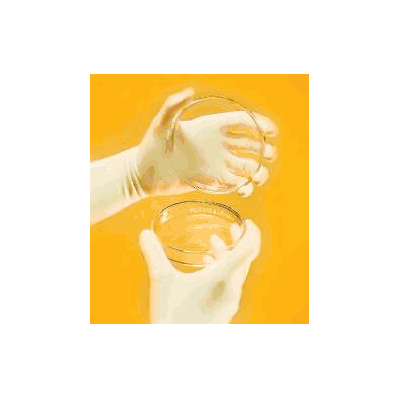 Exam Glove Micro-touch E.P. Sterile Powder F