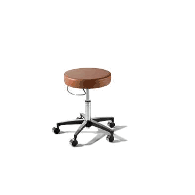 Exam Stool Ritter 276 Classic Series Backles