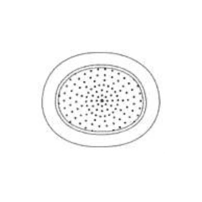 Eye Shield Cover Eye Garter 3 Inch - Shield,