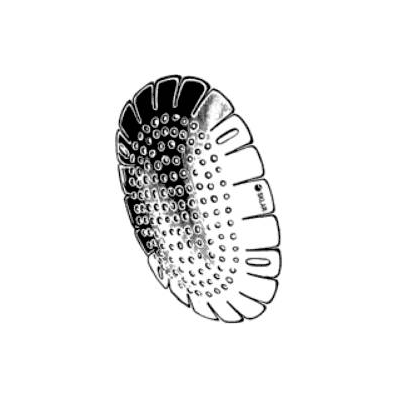 Eye Shield One Size Fits Most Without Securin