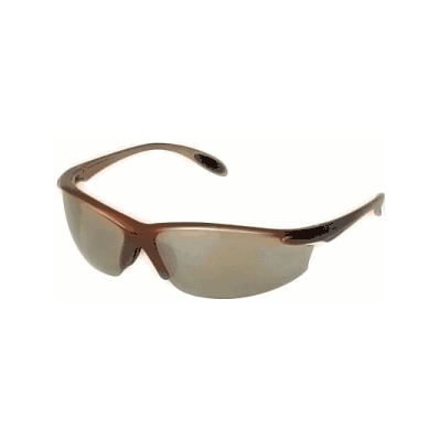 Eyewear, Brown Metallic Frame, Clear Lens - M