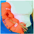 Fasplint FS 802-10 General Purpose Splint, medium, 20" X 24.5", vinyl without fastening for extremities, color: orange, sold as each by Fasplint brand Hartwell Medical<br><br><font color="red"><b>BACK TO THE PRODUCT TABLE, <a href="https://www.aaawholesalecompany.com/orthopedic-immobilizers--splints-and-supports-splint-by-hartwell-medical.html">CLICK HERE</a></b></font>