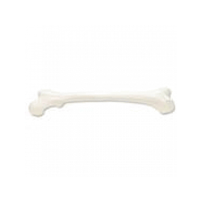 Femur, Left