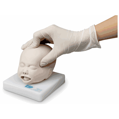 Fetal Head Simulator