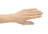 <h2> Finger Splint, Size 3 Oval Ring, color Translucent, Left or Right Hand, Slip On, sold as 5/Pk by Oval-8 brand, Patterson Medical Supply 92728503 </h2>