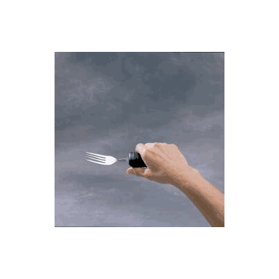 Flexible Fork Supergrip General Purpose Silv
