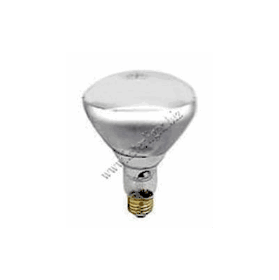 Flood Lamp 130 V 65 W - Lamp, Flood 65w 130v