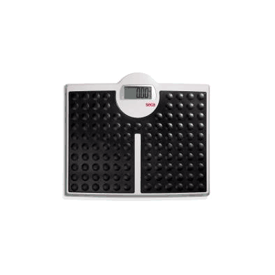 Floor Scale, High Capacity Seca 813 Digital 4