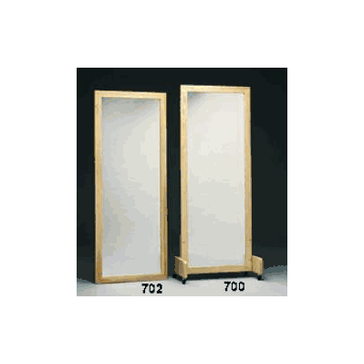 Floor Standing Posture Mirror 28 X 75 Inch Na