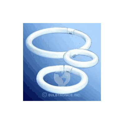 Fluorescent Circular Lamp 22 Watt - Lamp, Sur