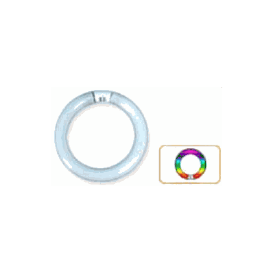 Fluorescent Lamp 22 W - Lamp, Fl Circline Day