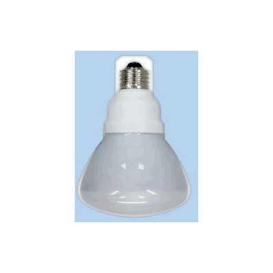 Fluorescent Lamp Starcoat 55 V 15 W - Lamp,