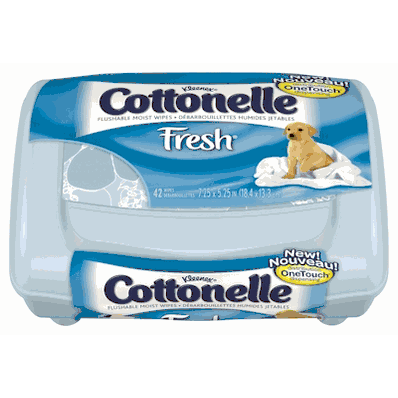 Flushable Personal Wipe, 5" X 7-1/4", 42 Count, Scented, and it is in a Reclosable TUB, 42/pk, 8 pk/cs