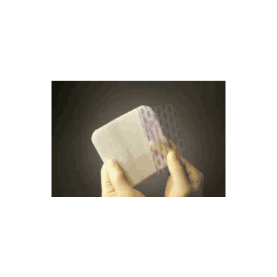 Foam Dressing Mepilex Silicone 6 X 6 Inch -