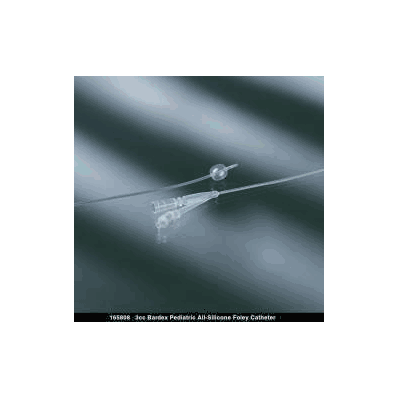 Foley Catheter Bardex 2-way, Standard Tip 20