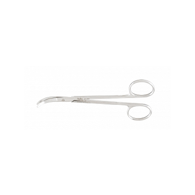Fomon Lower Lateral Scs