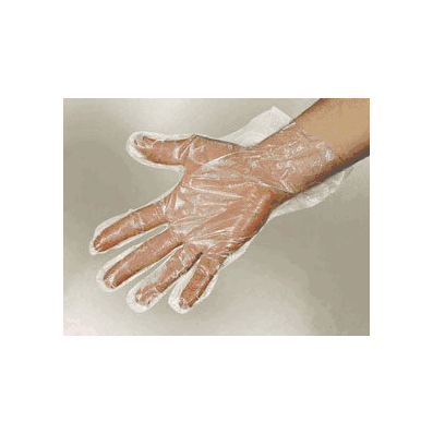 Food Service Glove, Medium, Non-Beaded Cuff Powder Free