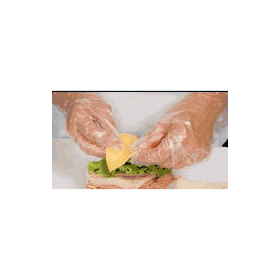 Food Service Glove, X-LARGE