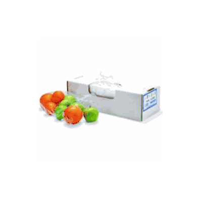 Food / Utility Bag 6 X 3 X 15 Inch .70 Mil. -