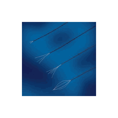 Foreign Body Grasping Forceps, with Ting Ha