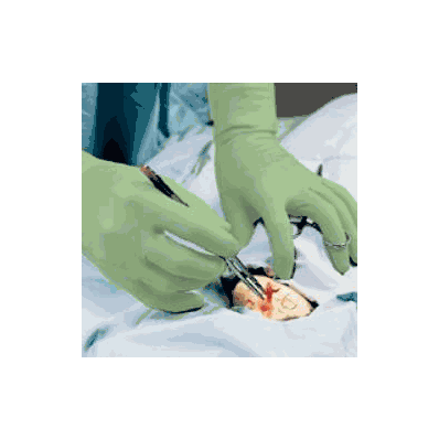 Gammex Size 9.0, Light Green Surgical Glove