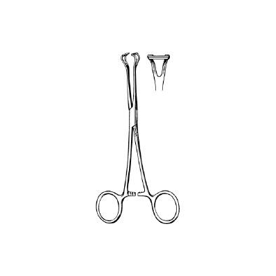 General Purpose Forceps Babcock Scissor Type