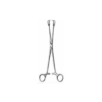 General Purpose Forceps Scissor Type Straight