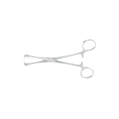 General Purpose Forceps Scissor Type Straight