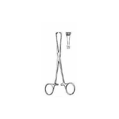 General Purpose Forceps Scissor Type Straight