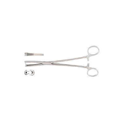 General Purpose Forceps Scissor Type Straight